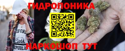 СК Будённовск
