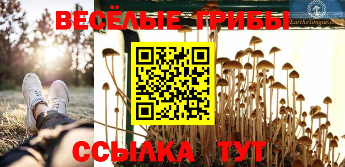 Новомосковск  Галлюциногенные грибы Magic Shrooms  Вход с VPN 